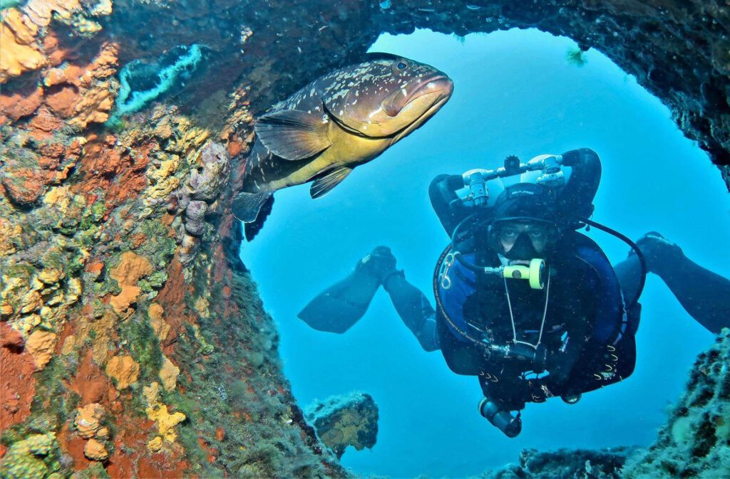 Faszinierende Einblicke unter Wasser. Der Tauchsportclub Bietigheim feiert dieses Jahr sein 50-jähriges Bestehen. Foto: Jürgen Kohl