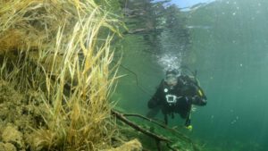 Tauchgang ja, Training nein