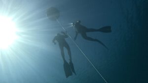 VDST Apnoe TL Prüfungen 2026