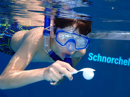 Schnorchelkurs 2026