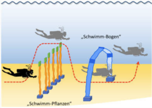 UW-Parcours aus Pflanzen und Bögen