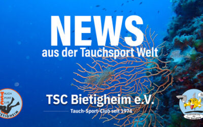 Tauch-Wochenbericht KW 17/2026: Riffe, Rekordexpedition & Freediving-Festival