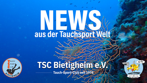 Neuigkeiten aus der Tauchsport Welt